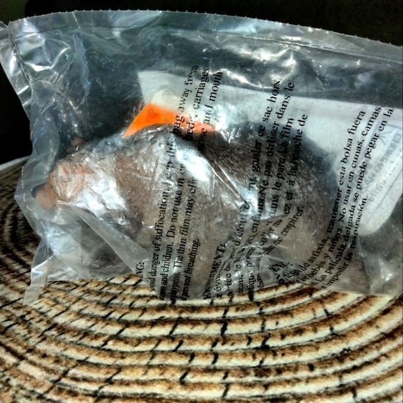 Little Grizzly Bear Safari LTD painted figurine play animals toy display NWT - Picture 4 of 5